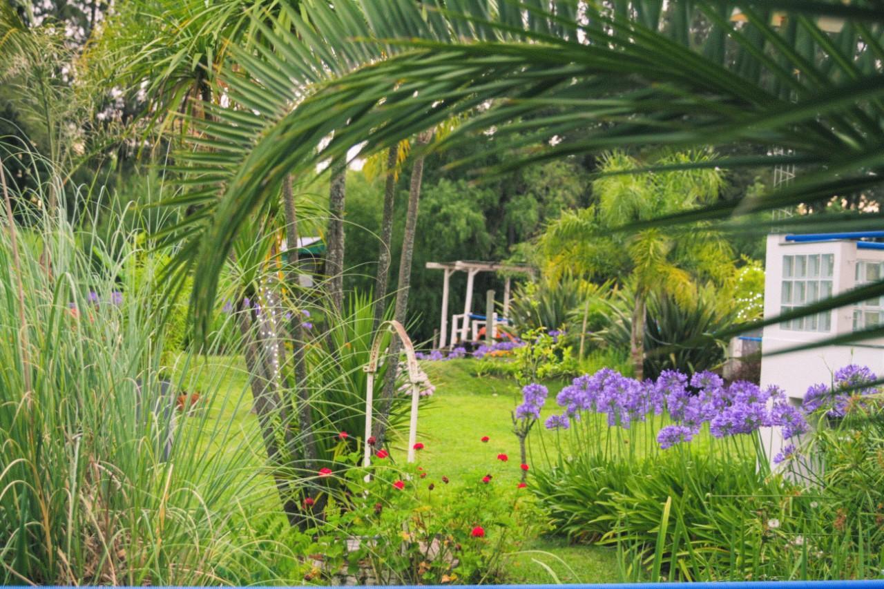 Peter Flanders Guest house *